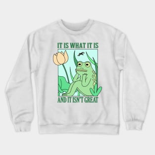 It Is What It Is And It Is Not Great Crewneck Sweatshirt